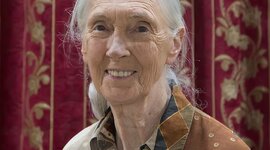 Timeline: Jane Goodall Timeline