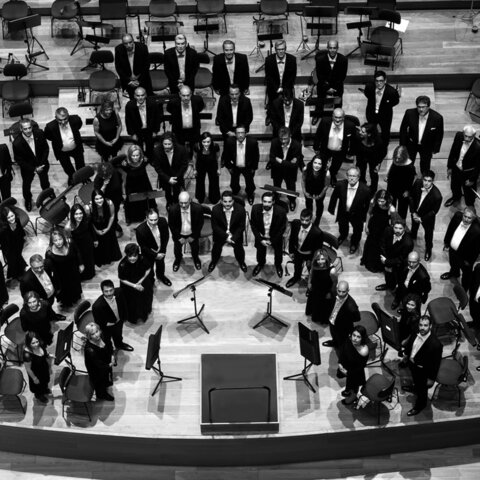 Amy la orquesta y diferentes formas de musica