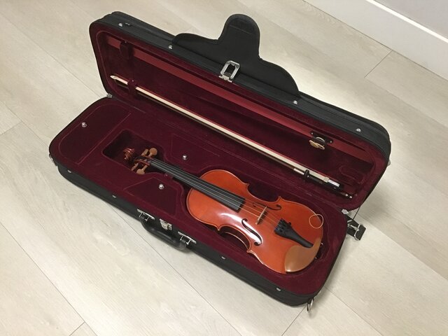 I started playing the violin