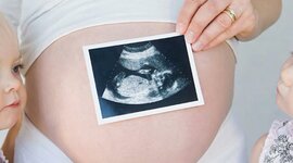 Timeline: Mothers birth cycle.