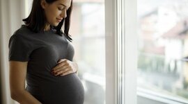Timeline: Prenatal Timeline