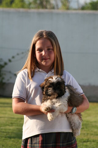 me regalaron a mi perro coco