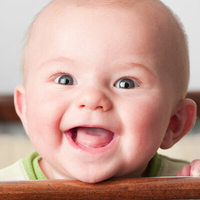 Timeline: Prenatal Development