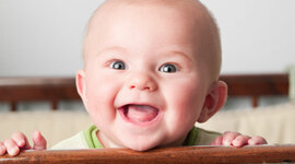 Timeline: Prenatal Development