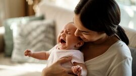 Timeline: Prenatal Development- Mother