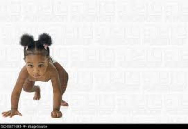 Began to crawl on all fours.