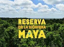 La Reserva de la Biosfera Maya