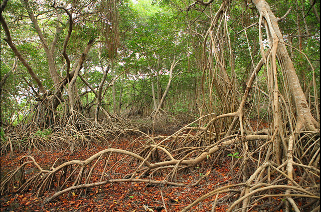Via Parque Salamanca