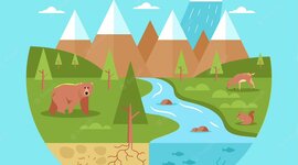 Timeline: ECOSISTEMAS EN COLOMBIA