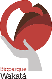 Captura del oso Tama