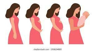 LA DIVERSIDAD DESDE LA EDAD PRENATAL