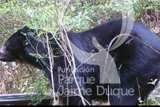 Reintegro al Bioaprque