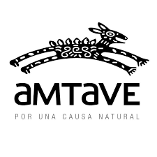 Consejo Nacional de Turismo y la Asociación Mexicana de Turismo