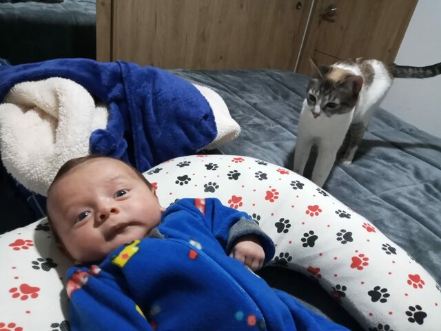 Nacimiento de mi hijo