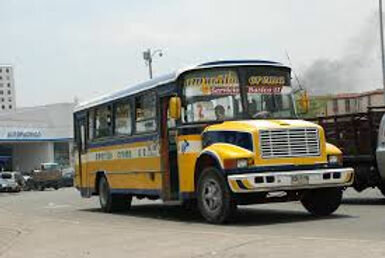 Mi primer empleo en empresa