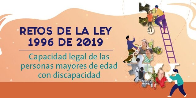 17.	Ley 1996 de 2019