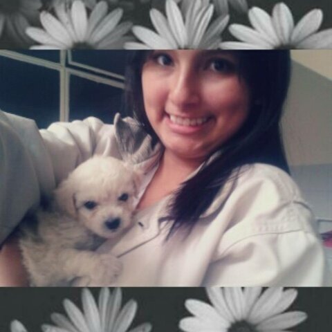 Llegada de Lía 🐶