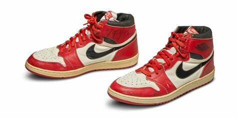 COLABORACION IMPORTANTE EN SU EVOLUCION