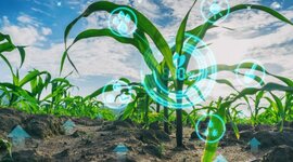 Timeline: Desarrollo evolutivo de la Ingeniería en Agronomía