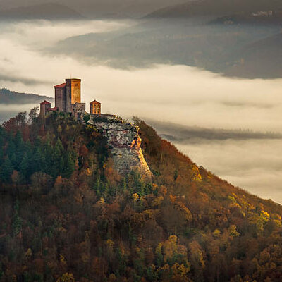 Timeline: 🄻🄰 🄴🄳🄰🄳 🄼🄴🄳🄸🄰