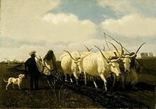 Arado por tracción con animales