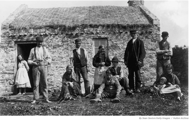 Great Irish Potato Famine