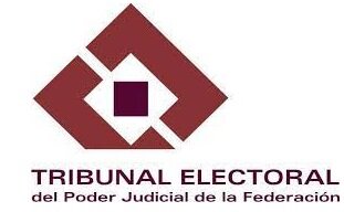 Tribunal Federal Electoral