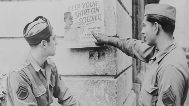 U.S. History: Malaria Epidemic of American troops and Americans