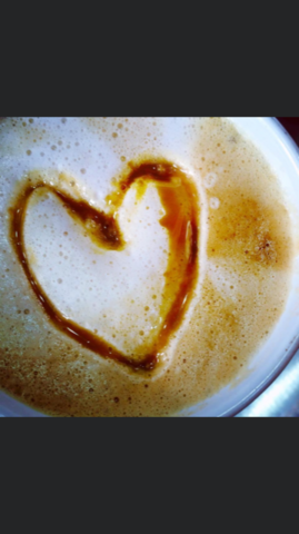 ¿Profesional Gatronomia?