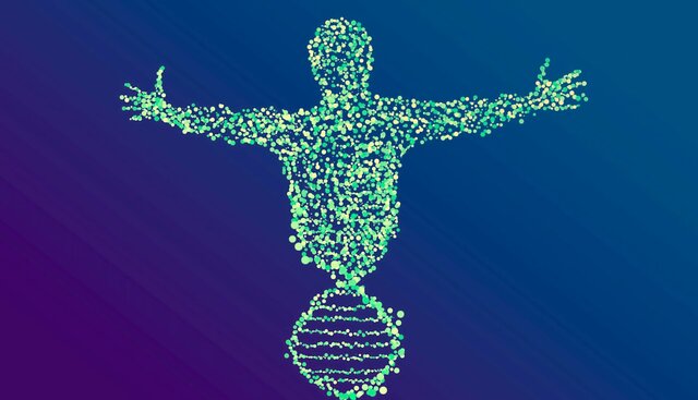Complete human genome