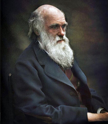 Theory of evolutions by Darwin and Wallace