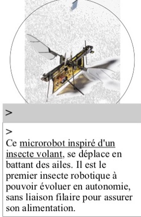 RoboFly
