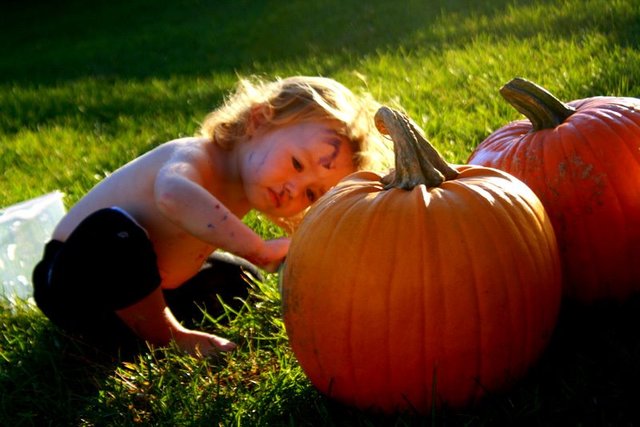 16 to 18 Months; Cognitive