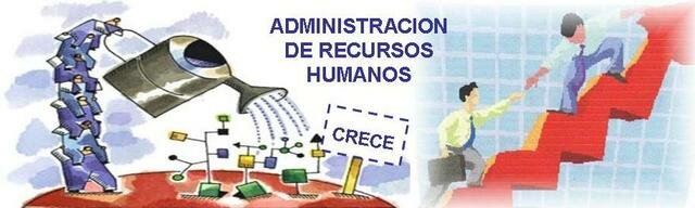 Se convierte en la Unidad de Recursos Humanos y Profesionalización