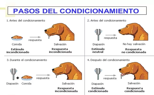 Modelo Conductista: Teoría del Condicionamiento Clásico