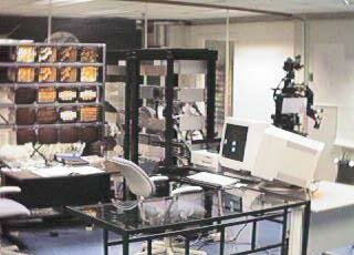 Involvement With MIT