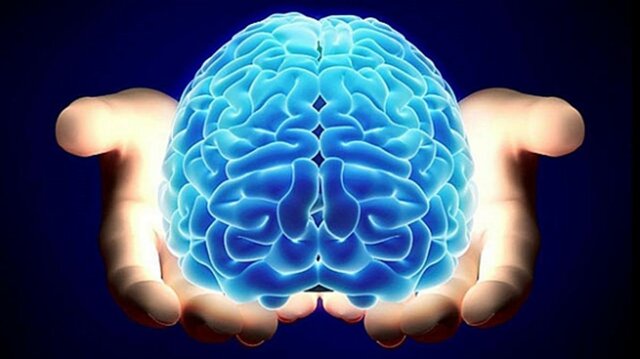 Cognitivismo: Postulados Básicos