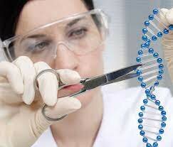 Avances Científicos