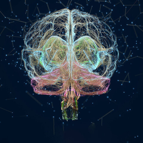 Content and Consciousness