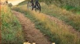 Timeline: Black Radishes by Susan Lynn Meyer