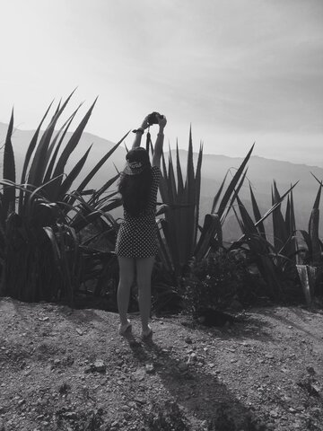 Cambio de ciudad (plan)