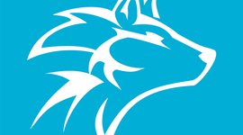 Timeline: Proyecto Integrador 3 - Embriología