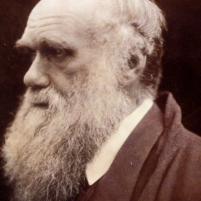 Timeline: Charles Darwin   Born:1809   Died: 1882       Known for the published book "Origin of a Species" which provided evidence and challenged science introducing idea natural selection, mutation, species change over time, and evolution.