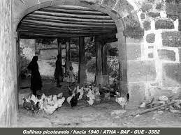 Siglo XX Planteamiento de Negocio