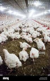 Superando Los Limites