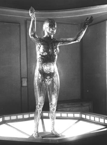 открыт для посетителей в по инициативе врачей Тартуского Университета.