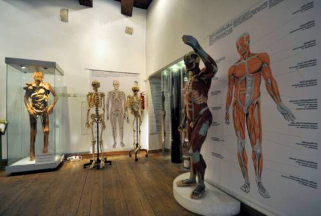 Для посетителей в Таллинне был он открыт.