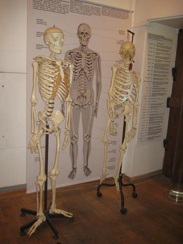 Музей был ликвидирован.