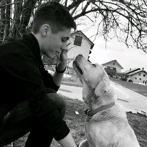 My dog passed away