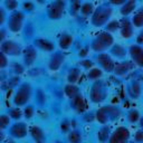 Blood circulation claim wins positive opinion